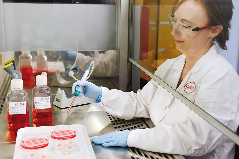 Sterile handling of Phenion skin model